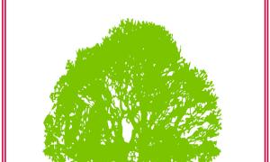 TCTF tree image, used when no image is available