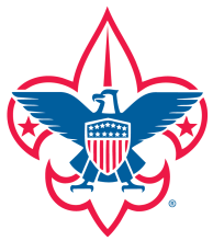 BSA logo