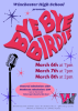 Bye Bye Birdie poster