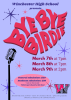 Bye Bye Birdie poster